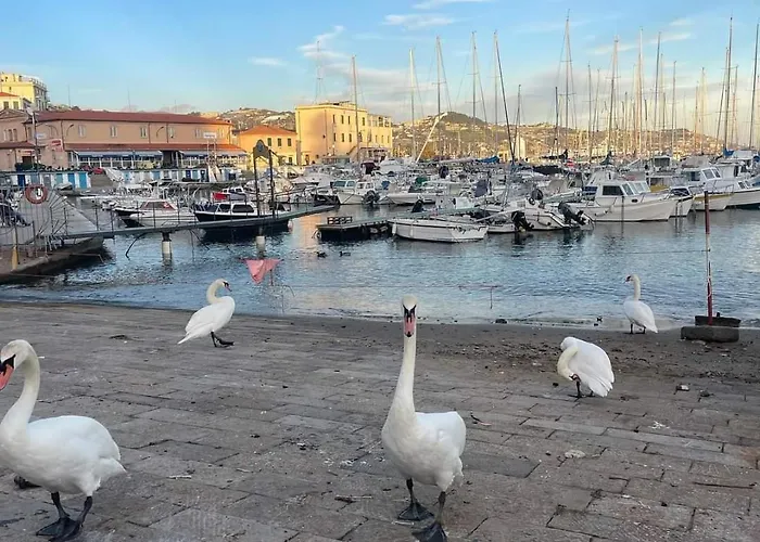 Διαμέρισμα Nene's